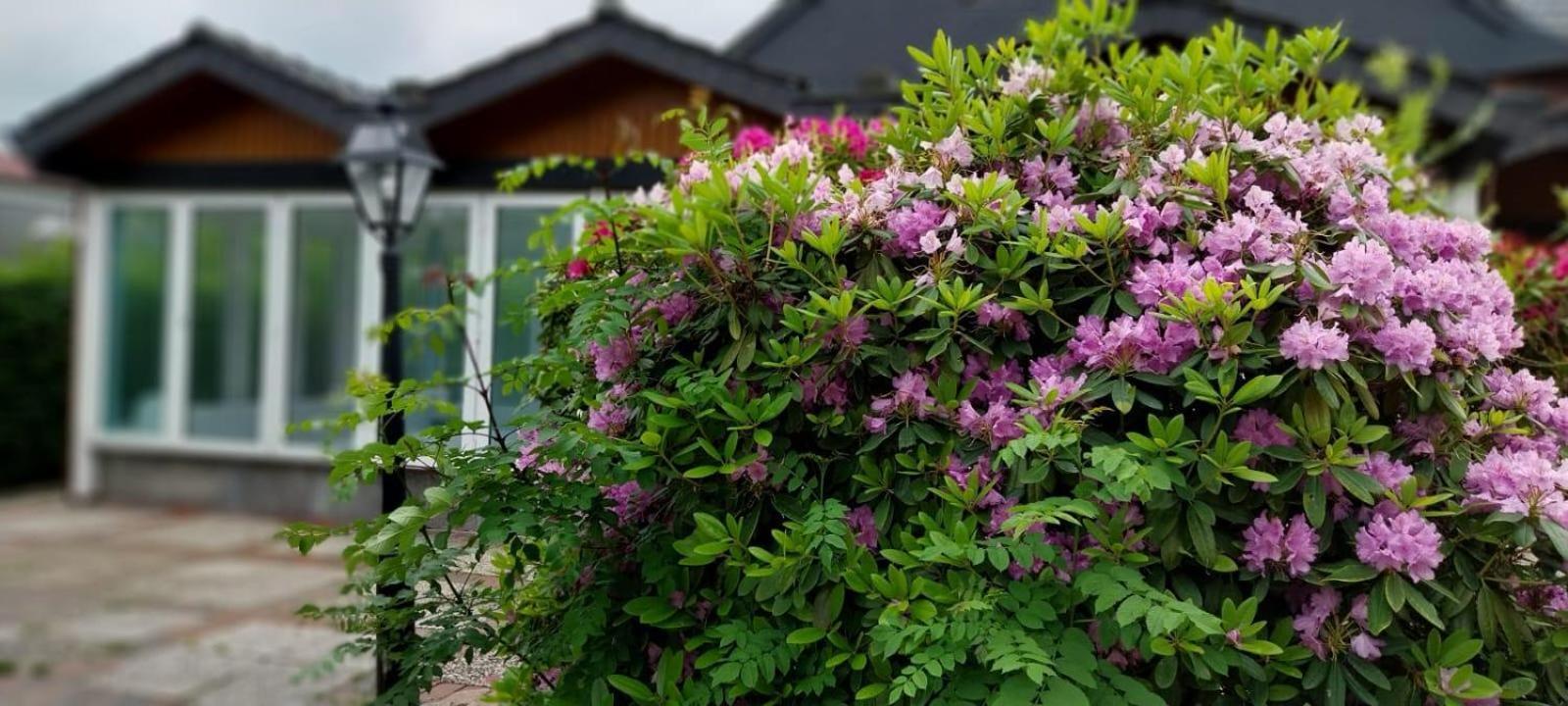 Ferienwohnung Kleine Kegelrobbe Burhave Exterior foto